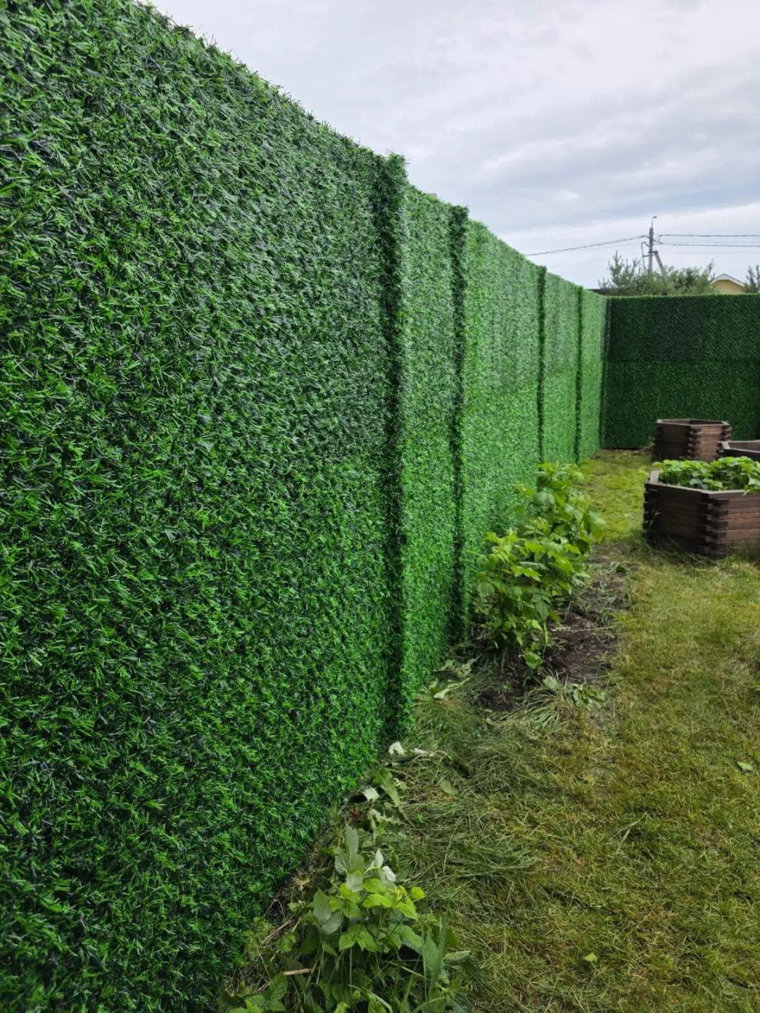 Вечнозеленый забор Grass Fence 37м фото 1 в Ульяновске